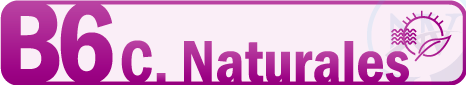 NATURALES 6